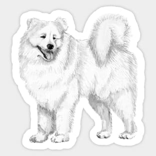 Samoyed Sticker